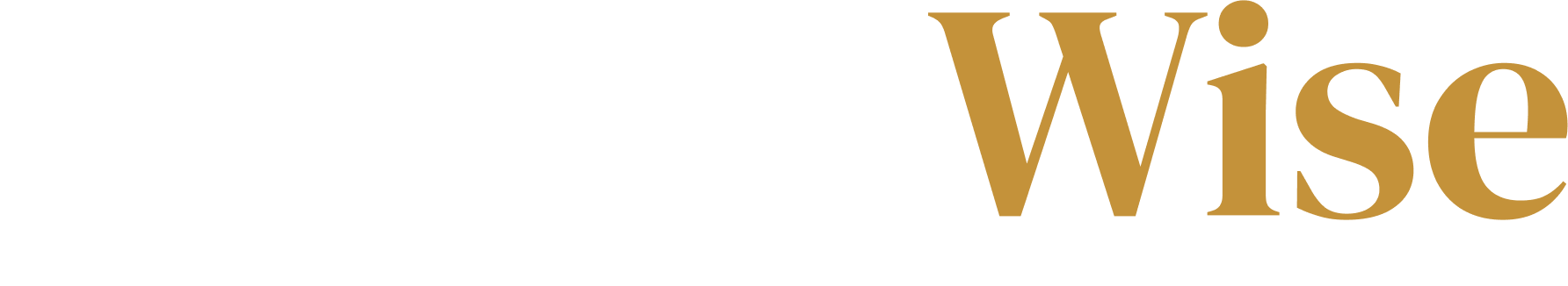 LedgerWise-logo.png